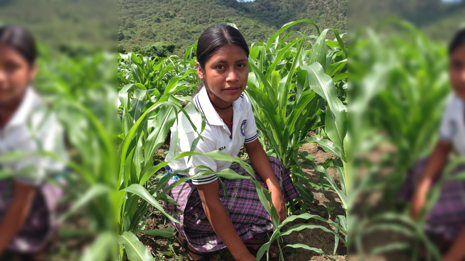 Moosburger-Hilfe-f-r-Guatemala