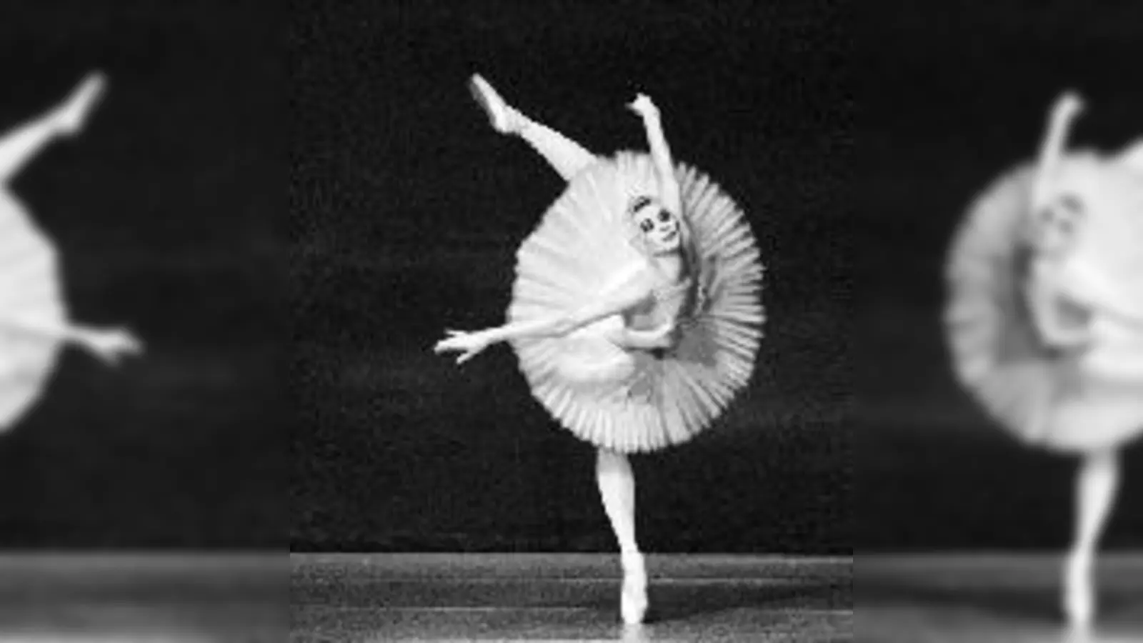 Ballett auf höchstem Niveau mit dem Russischen Staatsballett.	 (Foto: PGM)