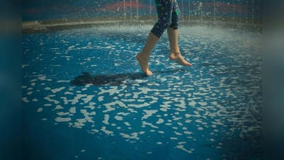 Carola Schmitt und sieben weitere Fotografinnen und Fotografen zeigen ihre Bilder in der Galerie eigenArt. (Foto: Carola Schmitt)