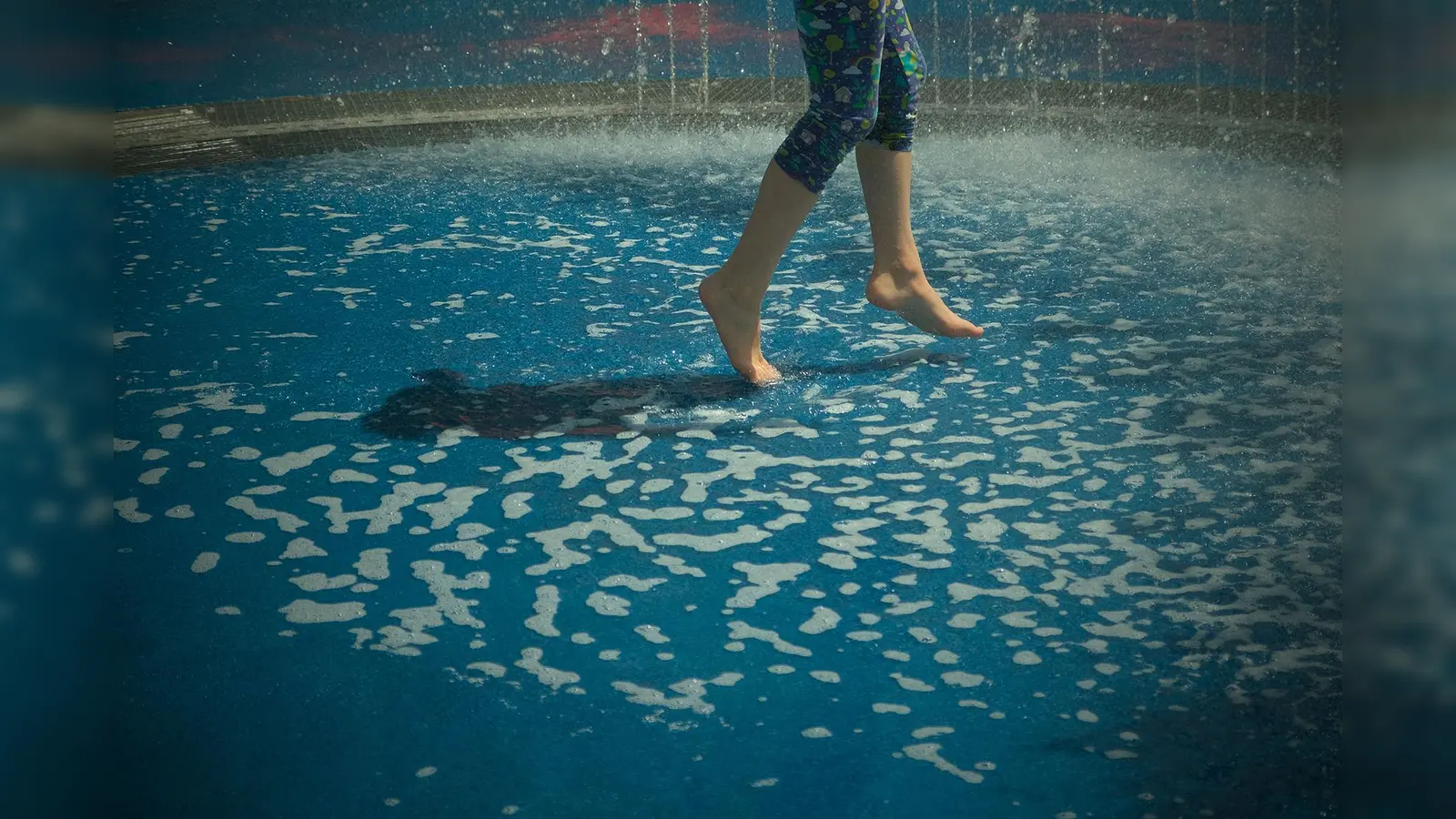 Carola Schmitt und sieben weitere Fotografinnen und Fotografen zeigen ihre Bilder in der Galerie eigenArt. (Foto: Carola Schmitt)