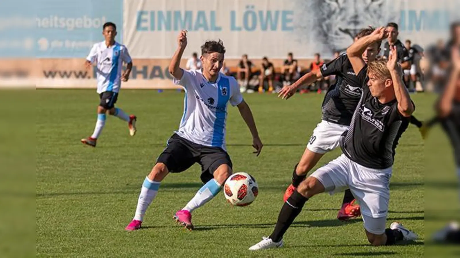 Ausgleichstreffer: Antonio Trograncic.  (Foto: Anne Wild)