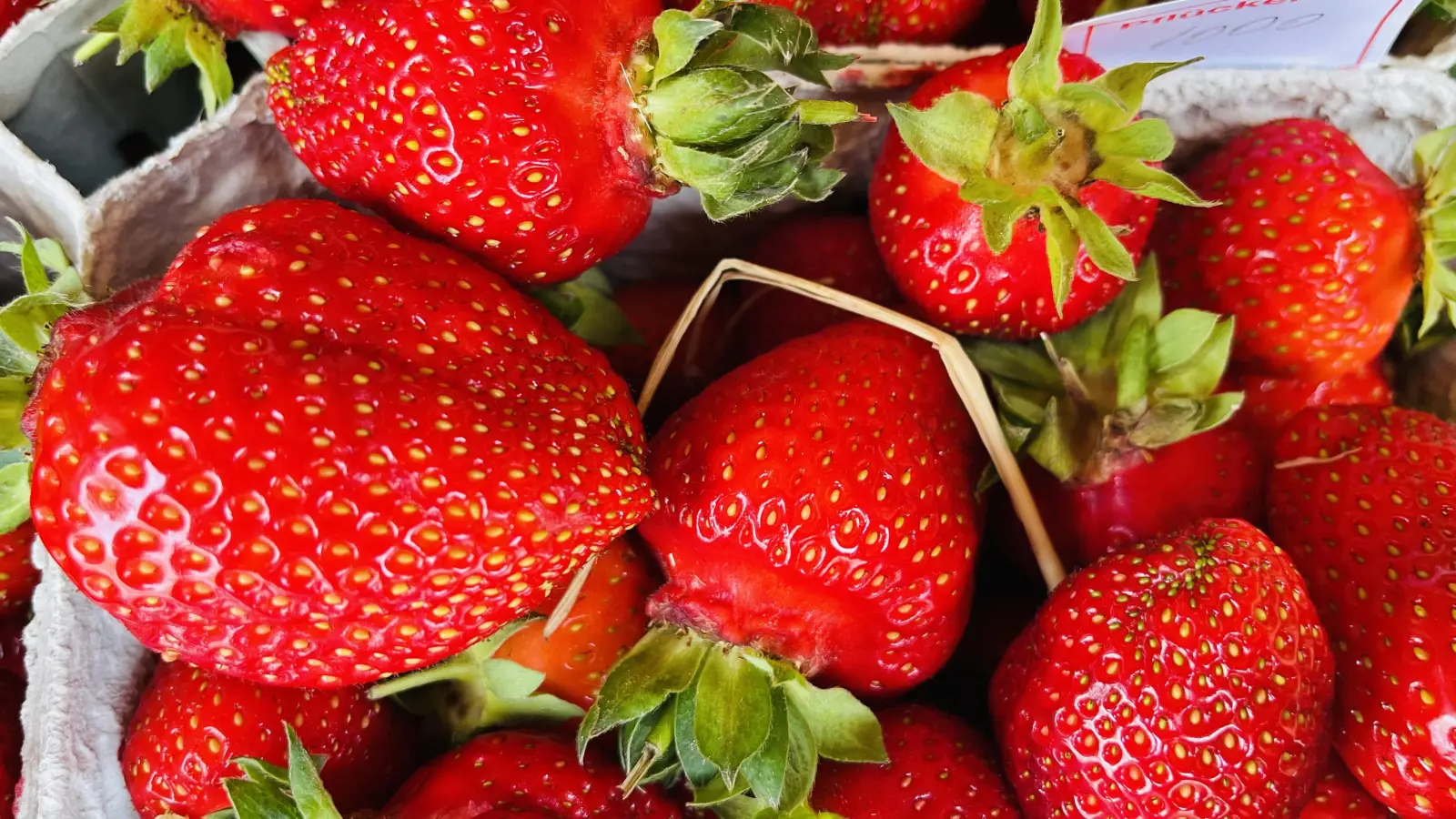 Vielleicht ist beim Sozialen Mittagstisch auch das eine oder andere Erdbeerchen als Nachtisch dabei. Saison dafür ist ja gerade. (Foto: hw)