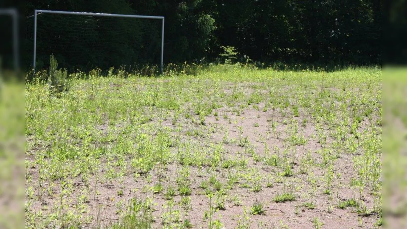 Der Sportpark lag lange im Dornröschenschlaf. (Foto: job)