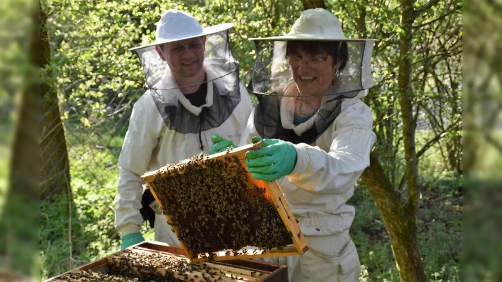 Die Bienen sind frühjahrsfit. Franz Albrecht und Bettina Weidinger (von links) am Lehrbienenstand. (Foto: Hauck)