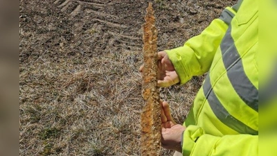 Gleich am ersten Tag der Grabungen in Frieding wurde dieses 60 Zentimeter lange Schwert geborgen.  (Foto: Gemeinde Andechs)