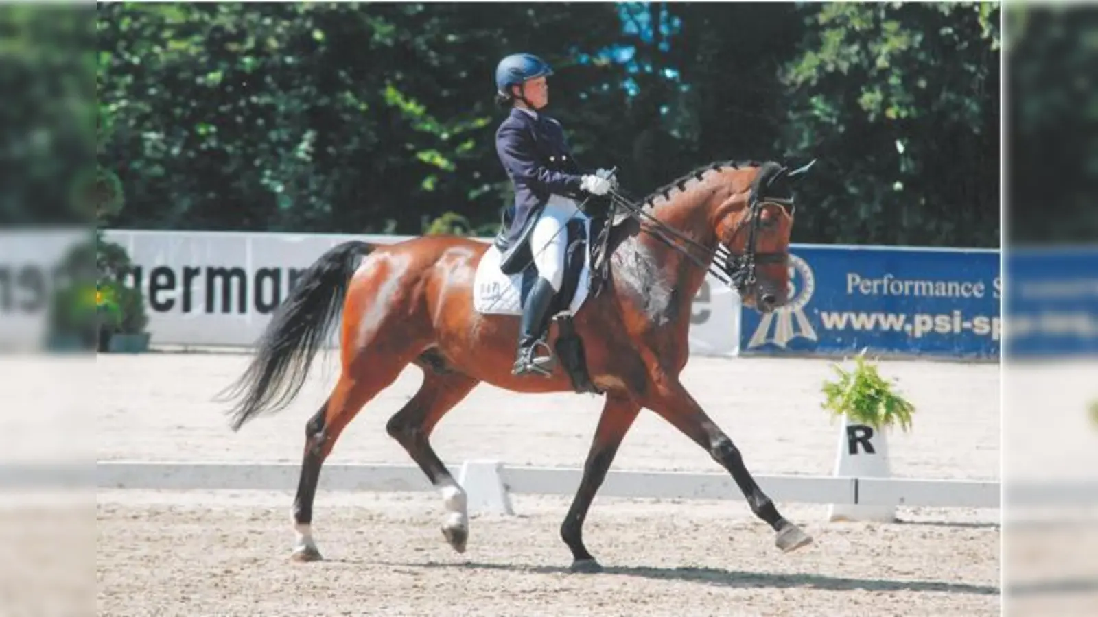 Cathrina Rasch-Günther mit Farinelli auf Goldkurs beim Gut Riedhausen.	 (Foto: VA)