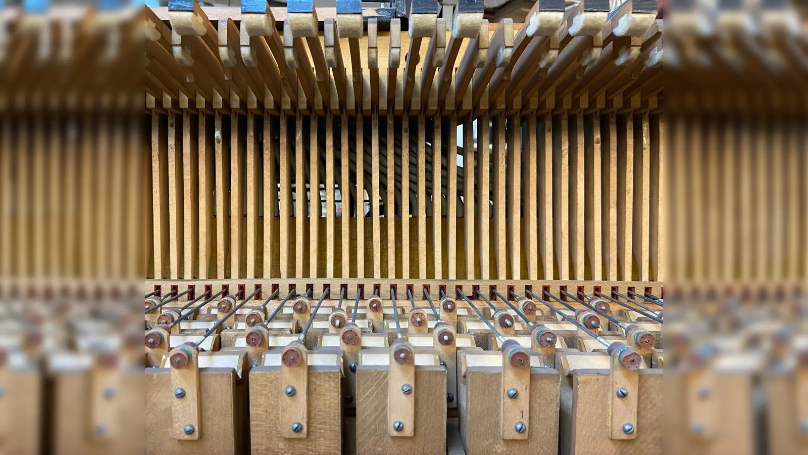 In der Ausstellung „Instrumentalized!” ergänzen sich Licht- und Toneffekte zu einem gelungenen Ganzen. Der Eintritt ist frei.  (Foto: Engl/Lieberman/Schlehhuber)