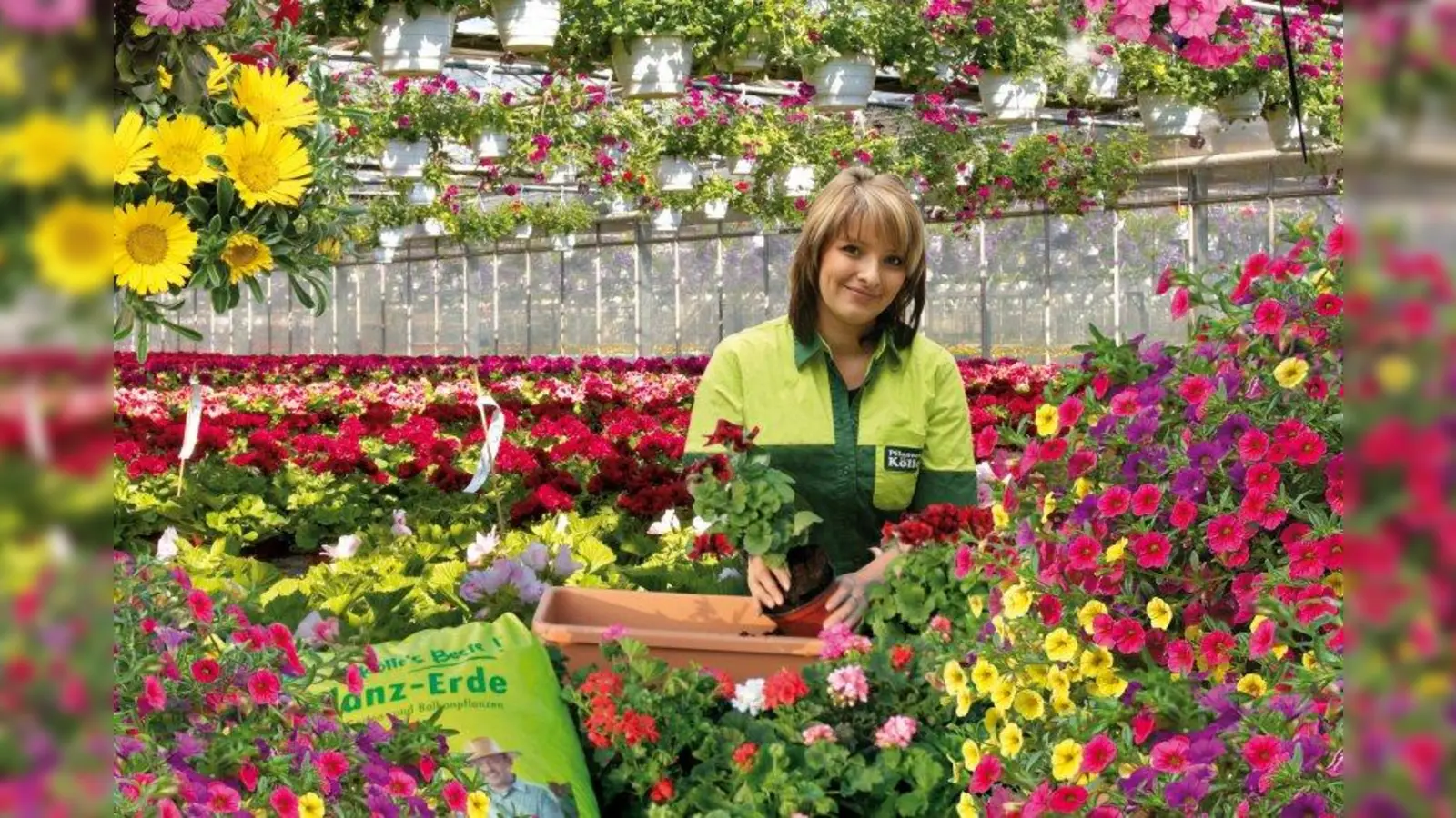 Gratis-Service: Balkonkästen und Pflanzgefäße werden vom 22. April bis zum 4. Mai bei Pflanzen-Kölle nach Ideen und Wünschen der Kunden bepflanzt. (Foto: Pflanzen Kölle)