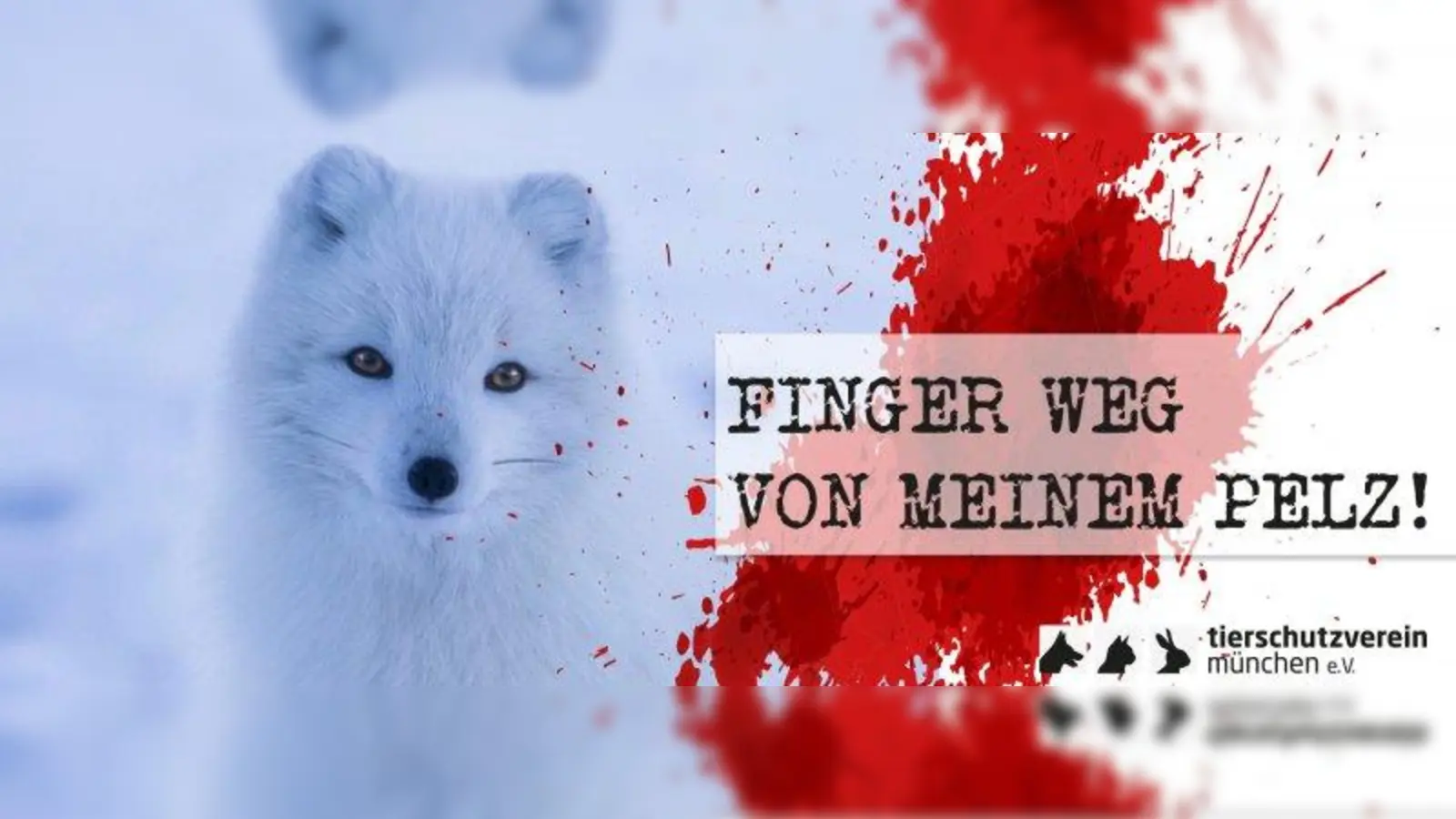 Foto: Tierschutzverein München