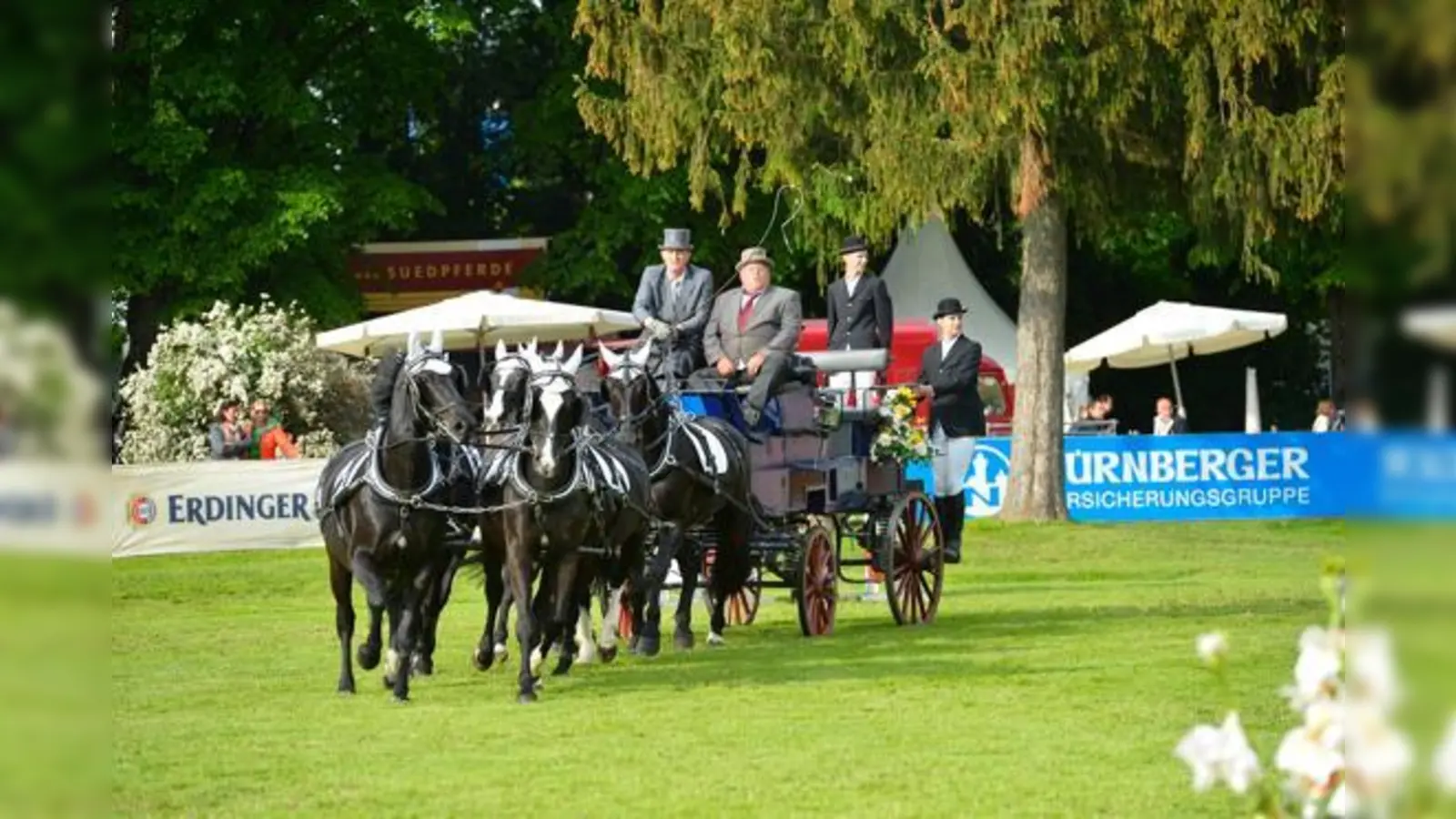Die Gespanne sorgen bei Pferd International immer wieder für erhabene Momente, wenn sie kraftvoll und zugleich elegant ihre Bahnen ziehen.	 (Foto: Maximilian Schreiner)