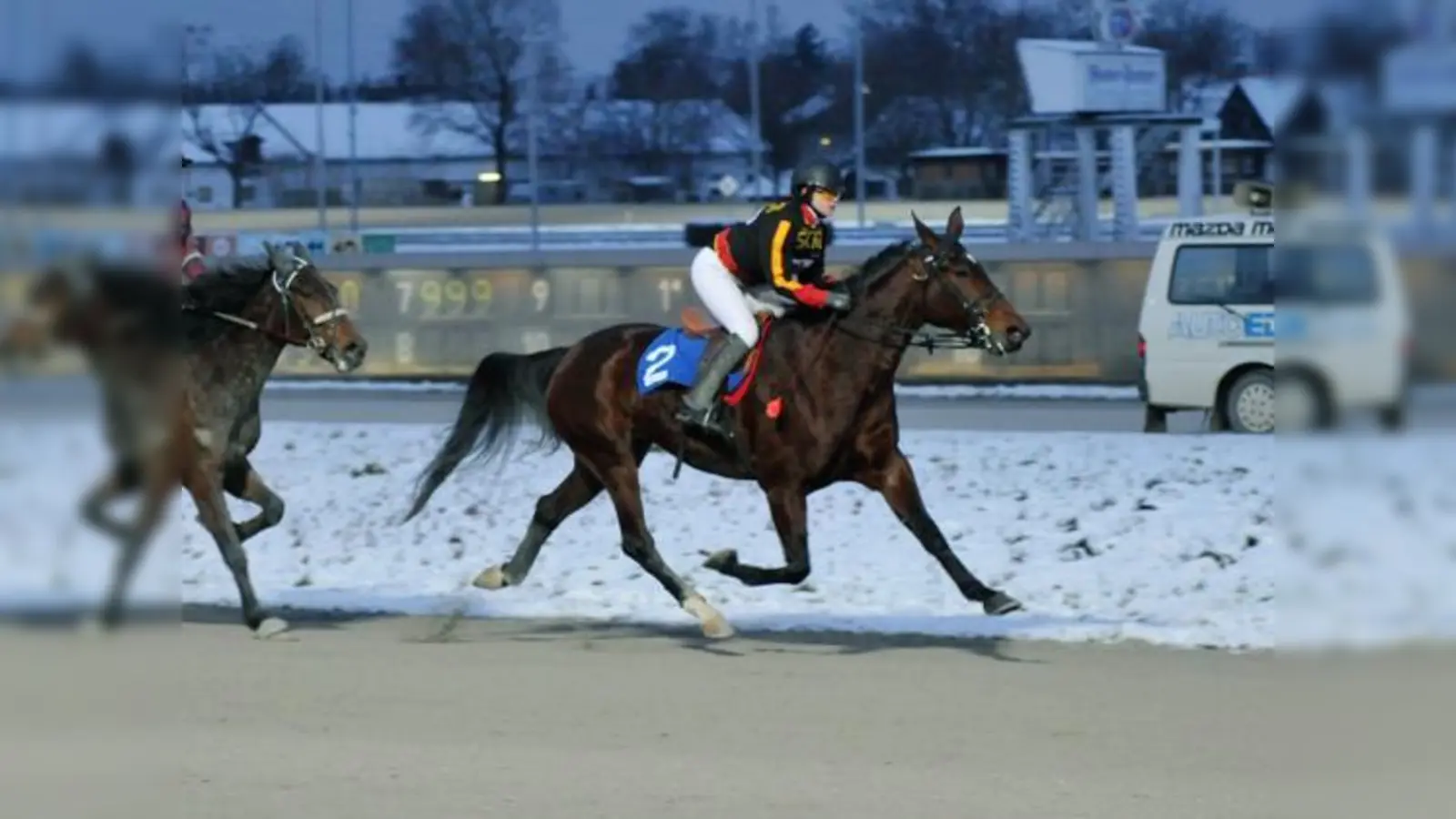 Derzeit siegreich: Almaville.   (Foto: spr)