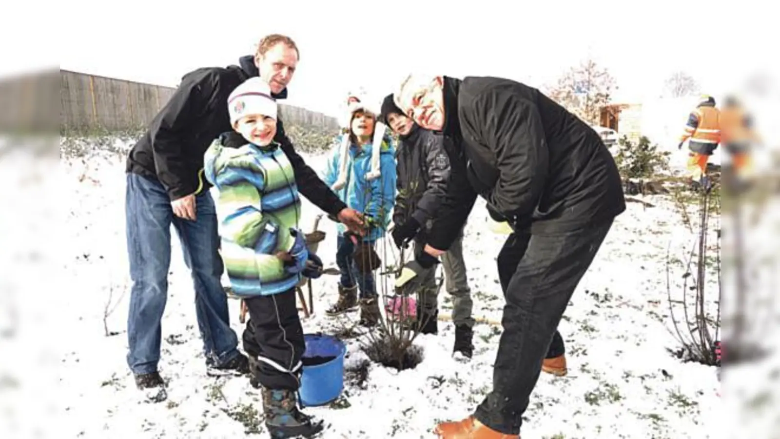Mit Feuereifer setzten die Schüler der Klasse 3c unter Anleitung des Landschaftsplaners Johannes Gnädinger und mit Unterstützung durch Bürgermeister Werner van der Weck junge Sträucher ein.  (Foto: Sybille Föll)
