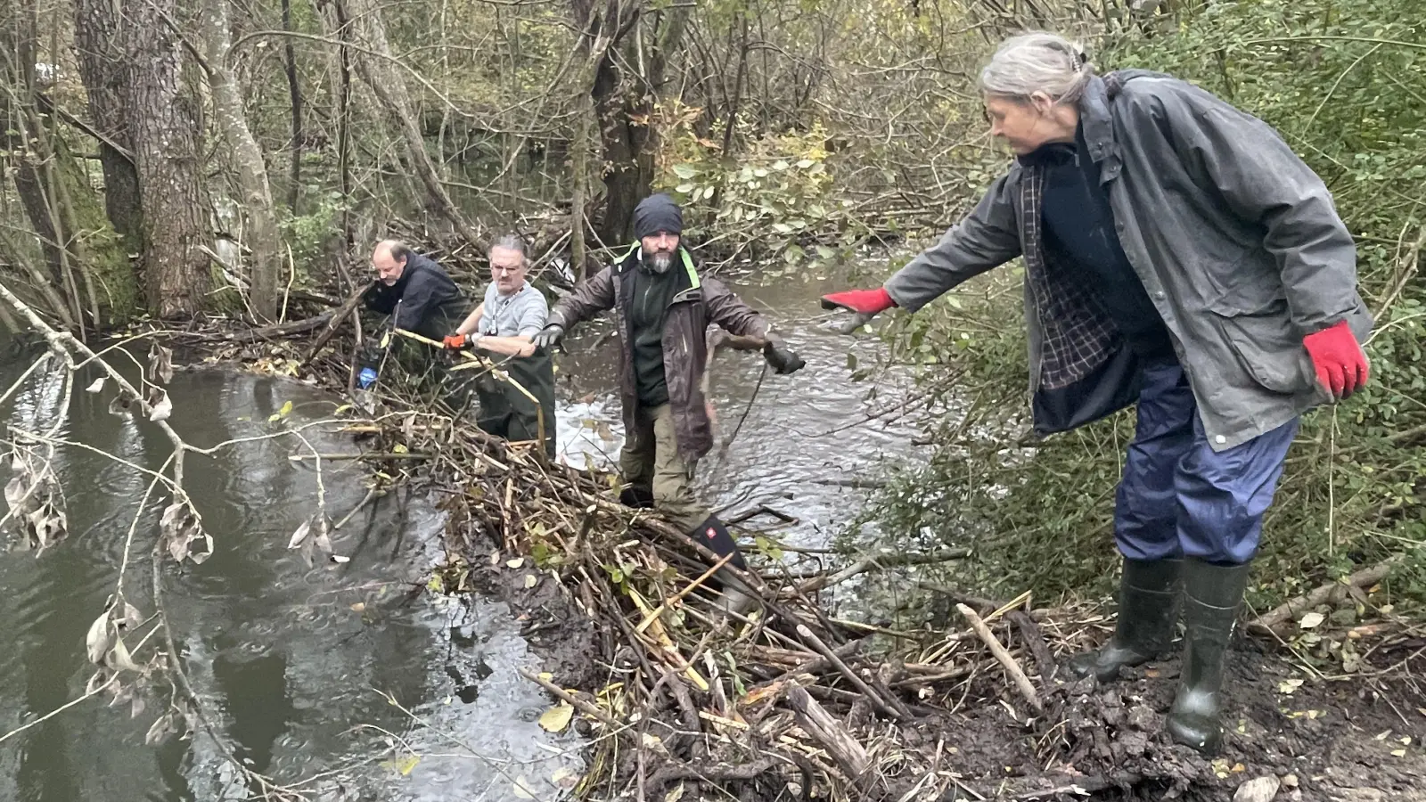 Gemeinsam machen die Helfer vom Bund Naturschutz im Biberdamm Platz für das Drainagerohr. Rechts: BN-Kreisgeschäftsführerin Helene Falk. (Foto: pst)