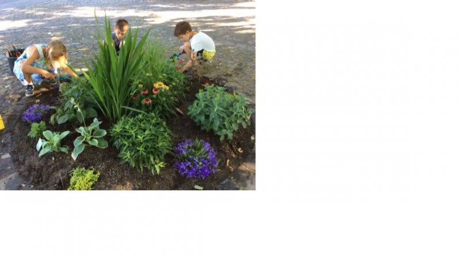 Mit Eifer sind die Kinder dabei, wenn es darum geht, dass ihre Schule freundlicher werden soll. (Foto: Gartenbauverein)