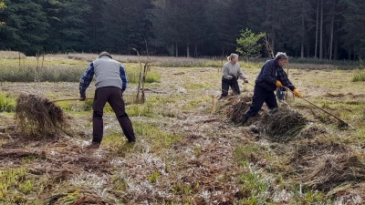Zum Abheuen der Barthwiese werden wieder Helferinnen und Helfer gesucht. (Foto: Paschek/LBV)