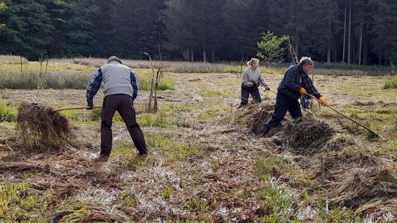 Zum Abheuen der Barthwiese werden wieder Helferinnen und Helfer gesucht. (Foto: Paschek/LBV)