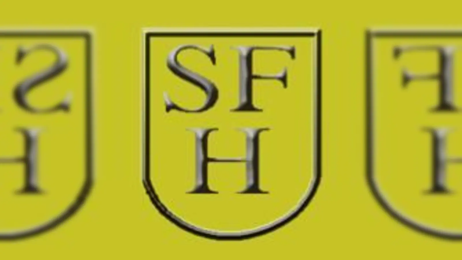 Ehrgeizig und doch erfolglos: Die SF Harteck verloren in Sindelfingen immer wieder durch knappe Punktwertungen.	 (Foto: VA)