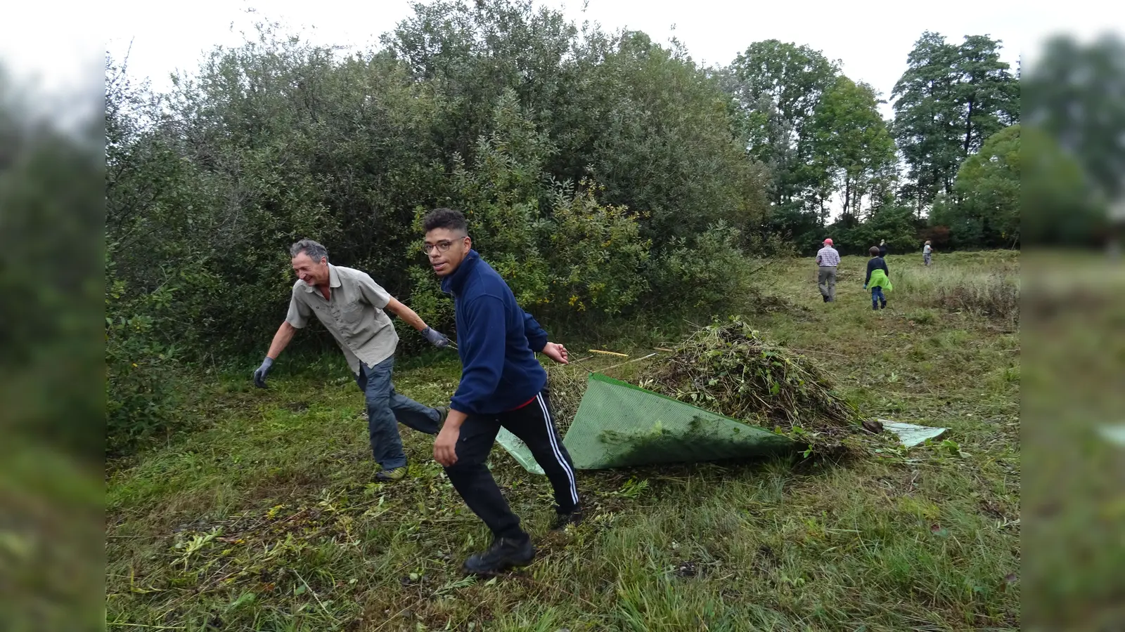 Knochenarbeit ist der Abtransport des Mähgutes bei den Pflegearbeiten. Der weiche Boden verbietet den Einsatz von schwerem Gerät. (Foto: kw )