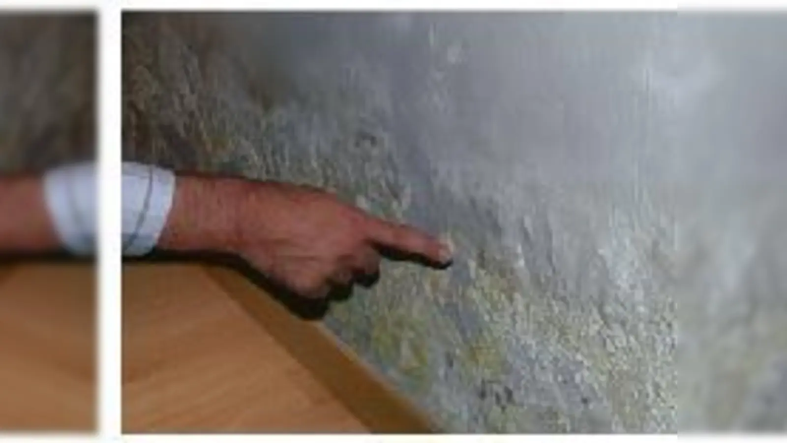 München  Fachgerechte Sanierung (Foto: red)