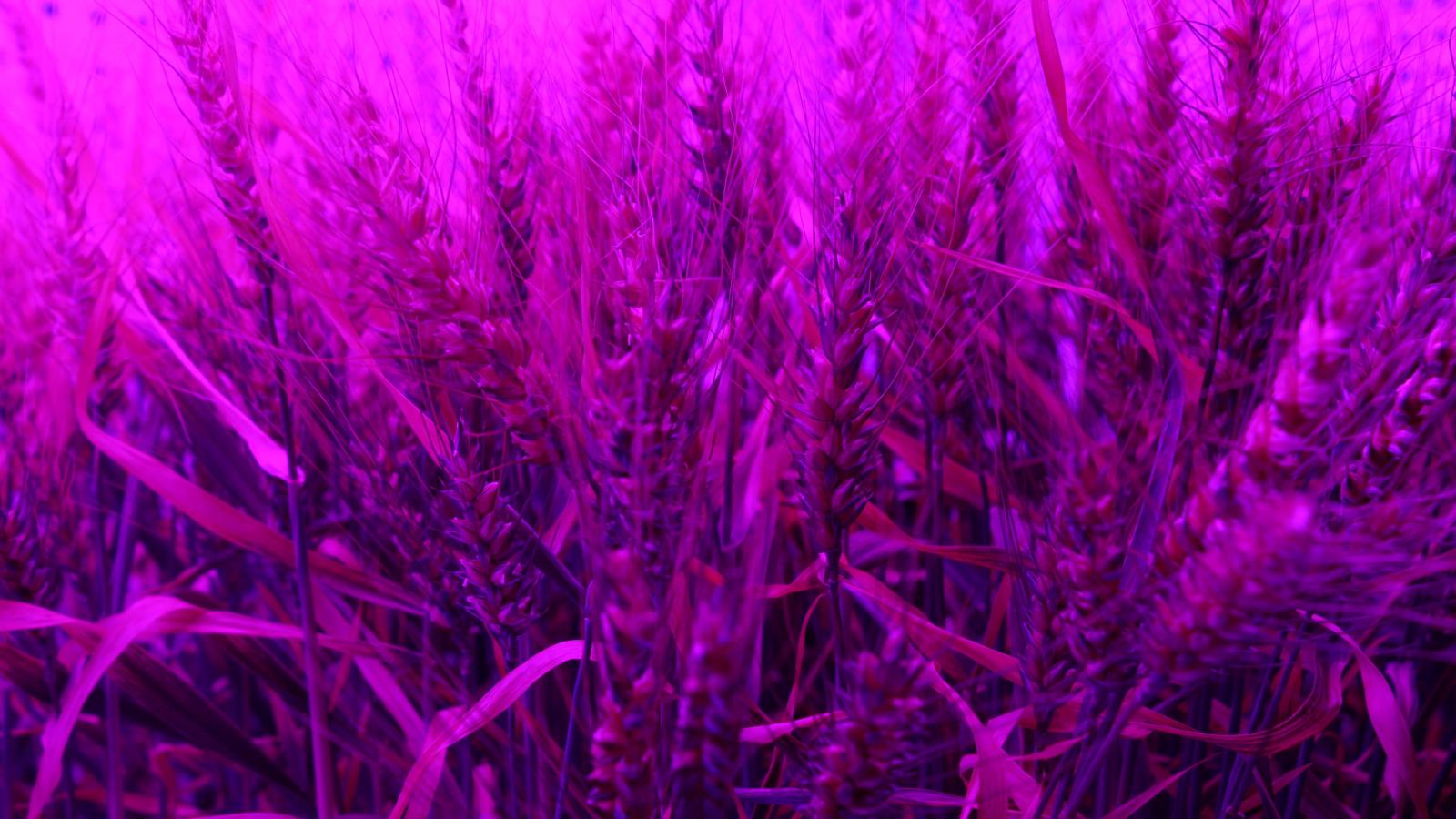 Vortrag-an-der-TUM-Freising