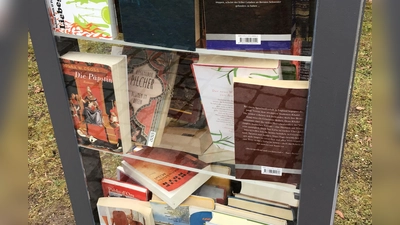 Die Borstei soll demnächst ihren eigenen öffentlichen Bücherschrank bekommen. (Symbolbild: dm)