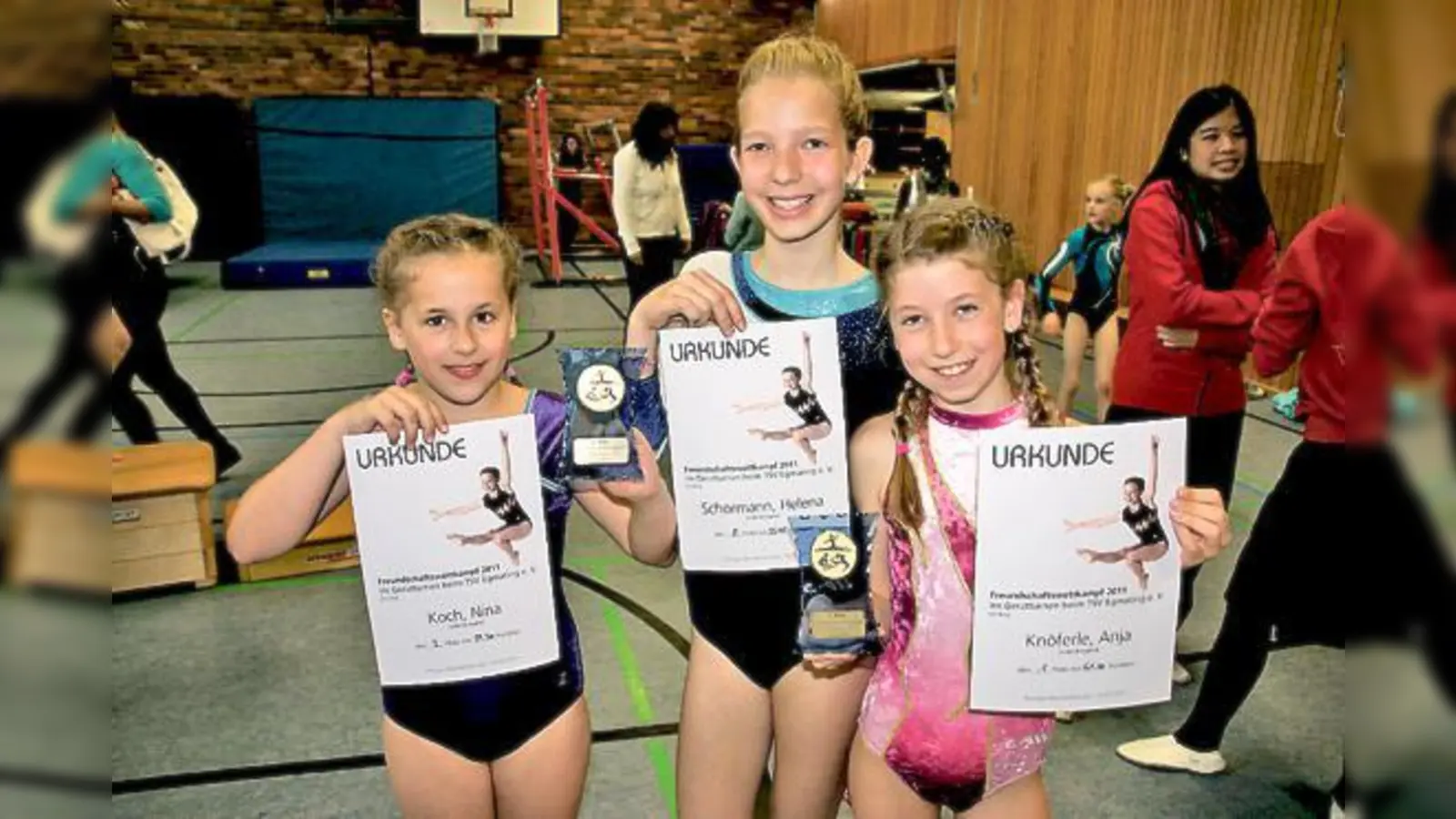 Neun Treppchenplätze erreichten die Turnerinnen vom TSV Egmating beim Freundschaftswettkampf im Mai.	 (Foto: TSV)