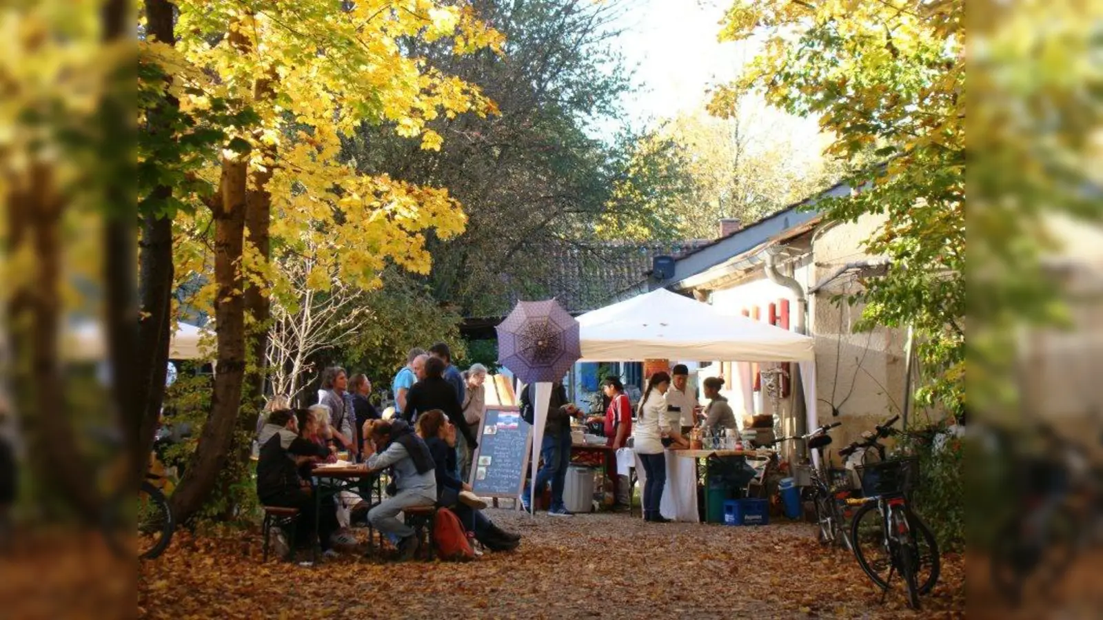 Die reinste Idylle: Die Ateliers in der Ehrenbürgstraße luden zu den Tagen der offenen Türe. (Foto: pst)