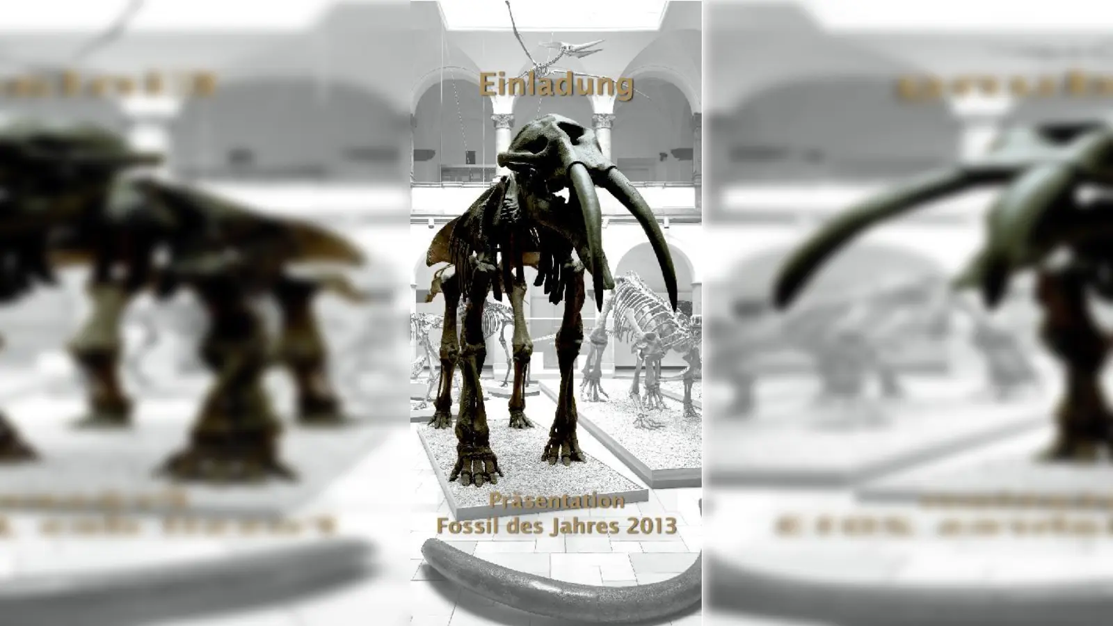 Das ist der Abguss des Ur-Elefanten, Mittelpunkt des Paläontolischen Museums in München. Dort befinden sich auch die Originalknochen.  (Foto: Museum)