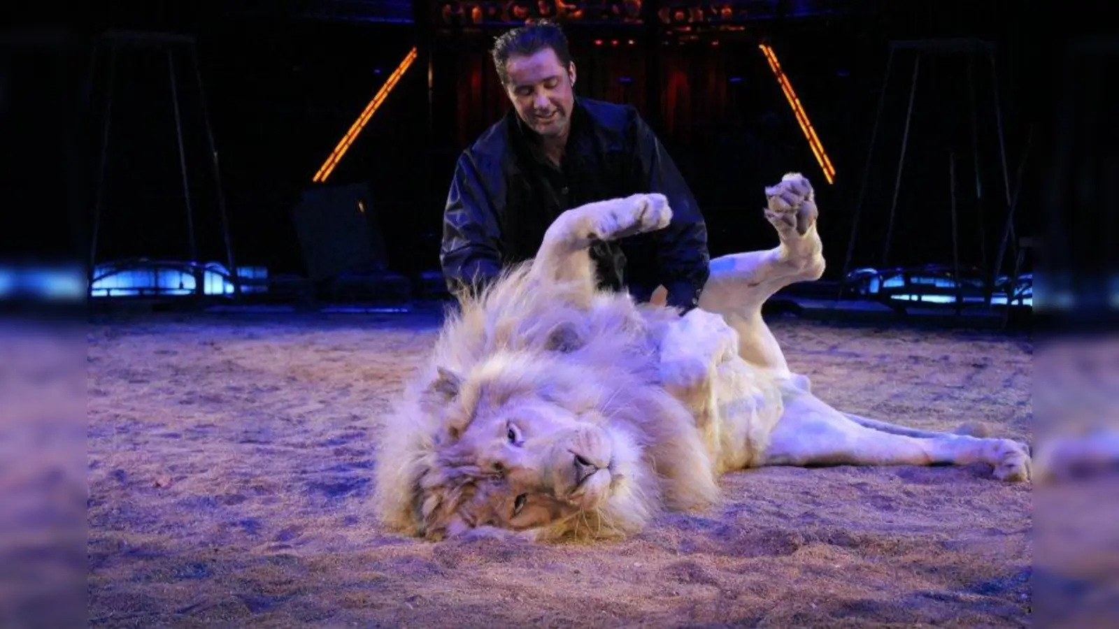 Auch große Löwen brauchen Schmuseeinheiten: Martin Lacey jr. knuddelt seinen Liebling ausgiebig. (Foto: circus-krone.de)