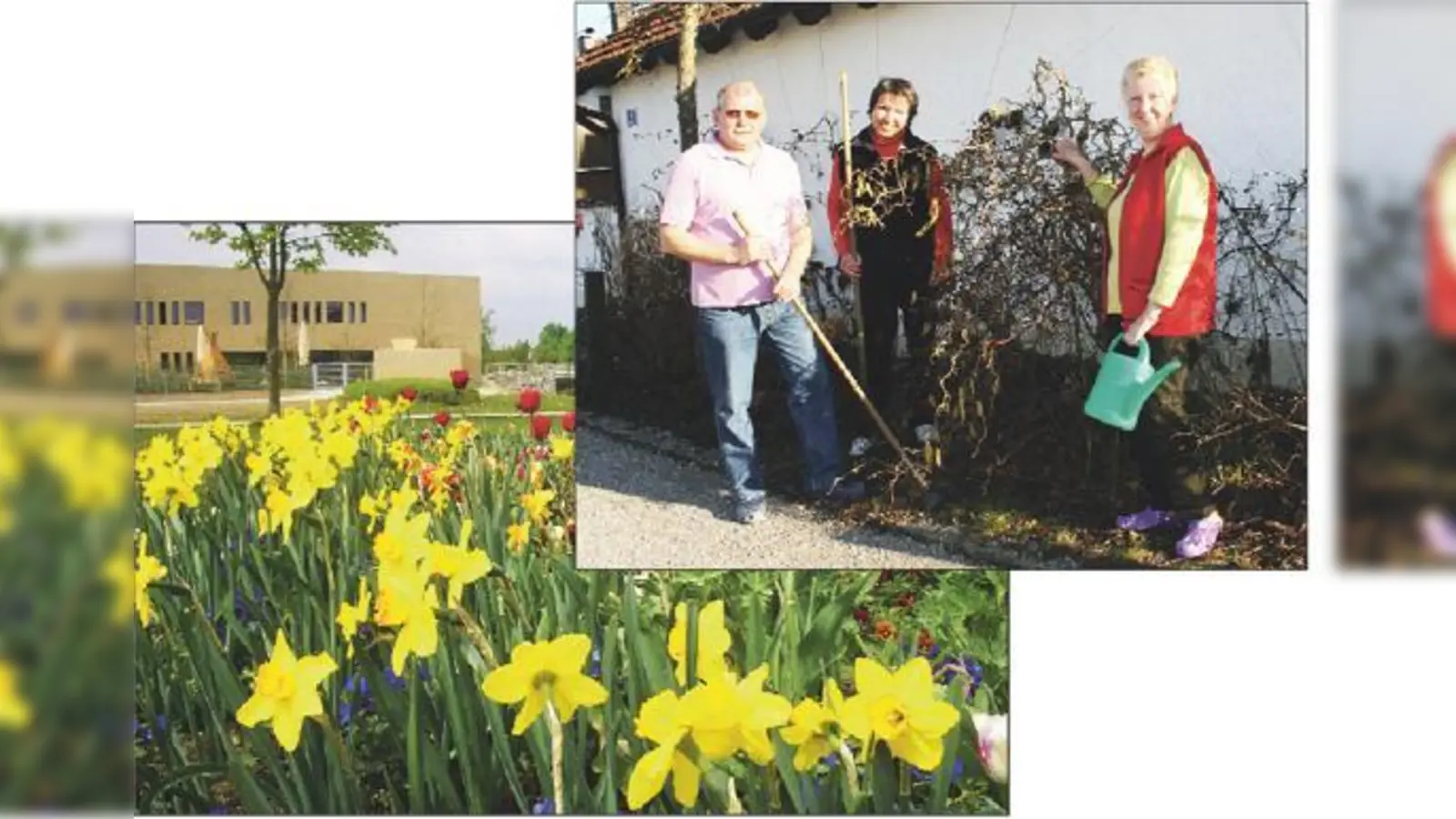 Solch prachtvolle, gut gepflegte Grünanlagen wie  etwa die vor dem Bürgerhaus wären ohne die Grünpaten wie Karl Ketterl, Sieglinde Pehl und Ingrid Ketterl nicht möglich. (von links)                 (Foto: Gemeinde Poing, pt)