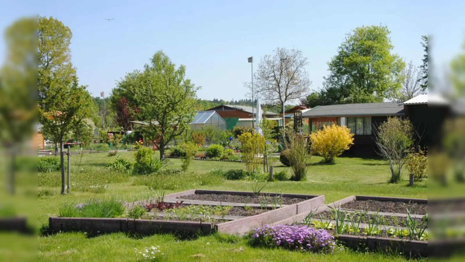 In der Nachbarschaft des Böhmer Weihers präsentiert sich die Kleingartenanlage am Erlbach wunderbar bepflanzt, idyllisch und großzügig. (Foto: Eva Schraft)