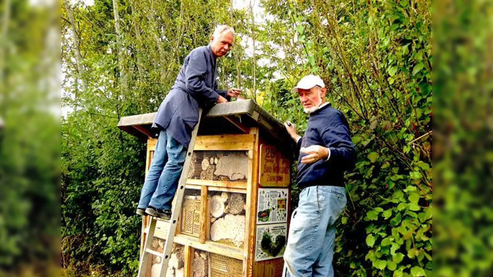 Das Insektenhotel des Bund Naturschutz erstrahlt nach der Renovierung in neuem Glanz.	 (Foto: VA)