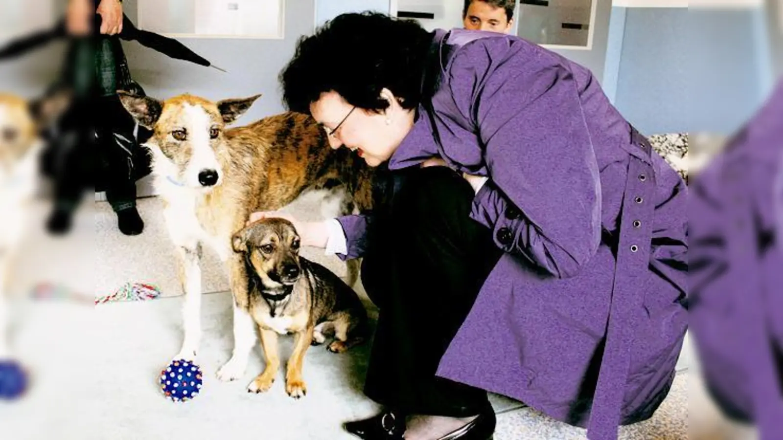 Mehr Raum zum Toben und Schmusen: Bürgermeisterin Christine Strobl eröffnete im Tierheim München ein neues Hundehaus, in dem die Tiere in Gruppen zusammenleben  echte Hunde WGs eben.	  (Foto: ak)