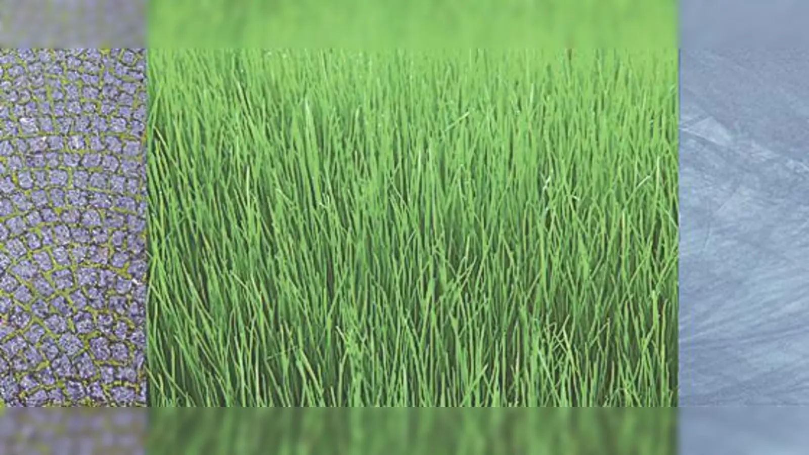 Fotografien von Dorrit Wess und Sven Eichhorn treffen bei der Vernissage auf die Musik von Pink Floyd, gespielt von Mare Darendort und Band.	 (Foto: VA)