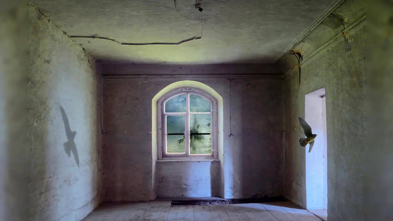 Kunst aus Berg am Laim: „Weg ins Licht“ heißt dieses Bild von Mathias Brandstätter. (Foto: Mathias Brandstätter)