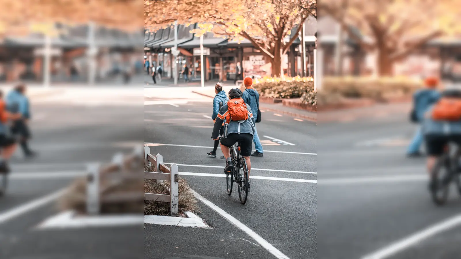 Gewiss ein Vorbild: Wer viel radelt, tut sich und der Umwelt etwas Gutes. (Foto: CC0)