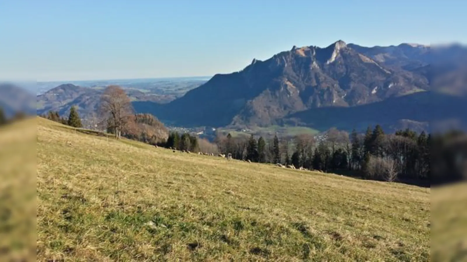 Die Wanderung zu den Hohen Asten ist leicht und dennoch aussichtsreich.	 (Foto: Stefan Dohl)