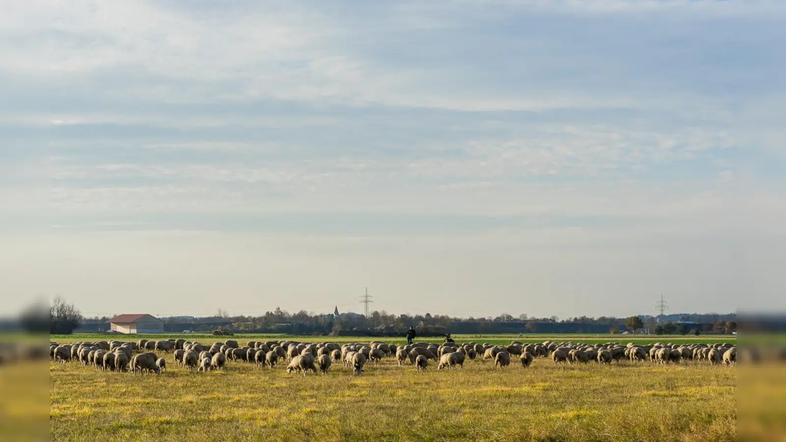 Fotos von der Garchinger Heide zeigt die Naturfotografin Gertrud Ritz derzeit im Ökologischen Bildungszentrum. (Foto: Gertrud Ritz)
