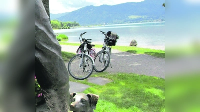 Warum nicht einen schönen Ausflug mit dem Radel, wie hier an den Tegernsee planen, das ist gut für die Gesundheit und sammelt ordentlich Kilometer. (Foto: hw)