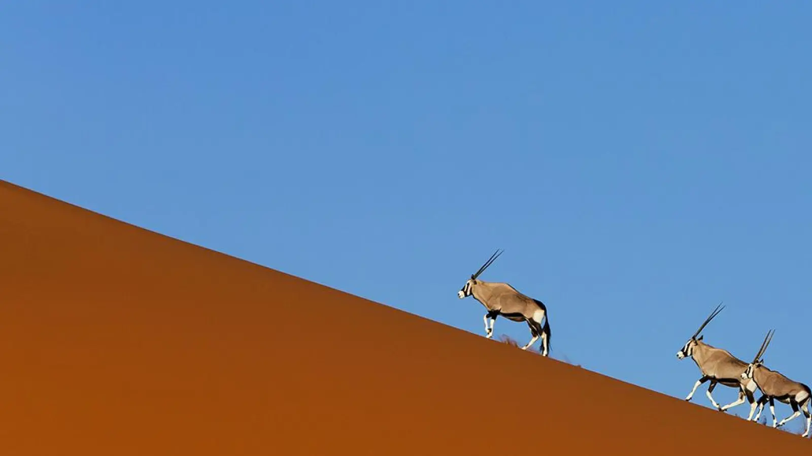 Beeindruckende Aufnahmen hat Bernd Wasiolka aus Namibia mitgebracht. (Foto: Bernd Wasiolka)