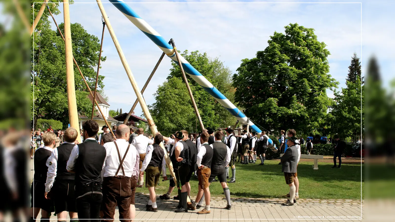 Wie es das Brauchtum will, wird in Neubiberg der Maibaum händisch, sprich mit Scherstangen aufgestellt.  (Foto: Lindenburschen)