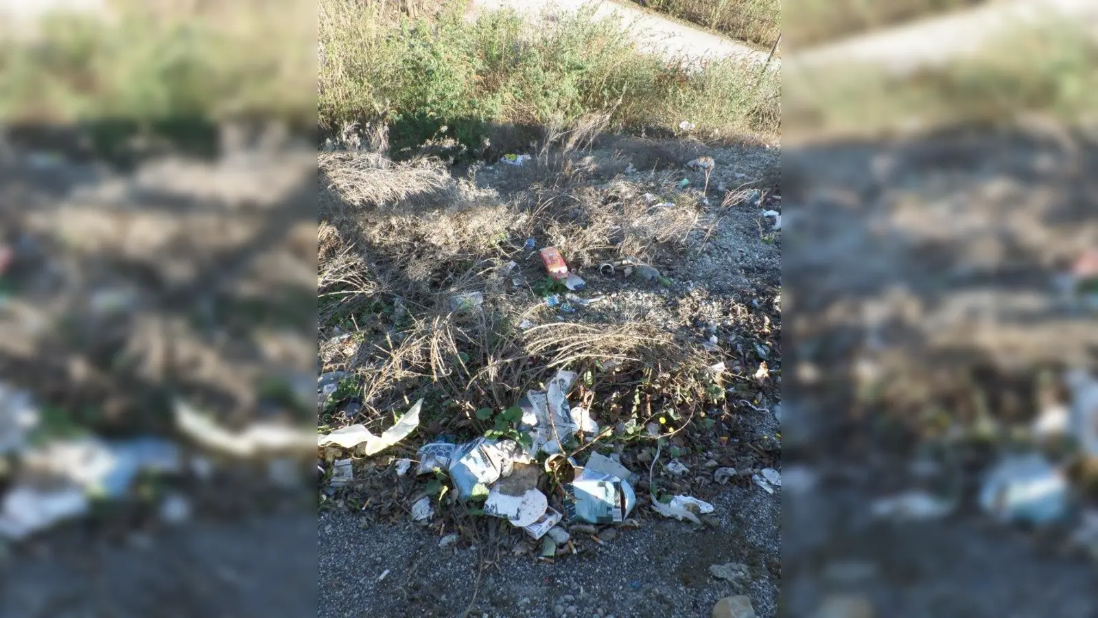An der S-Bahn-Station Hirschgarten, Hang zwischen der Friedenheimer Brücke und dem Backstage. (Foto: Michael Krämer)