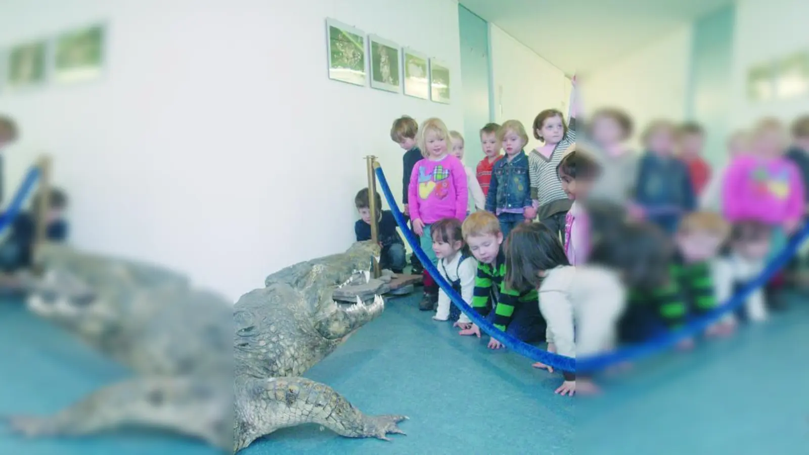 Das präparierte Nilkrokodil faszinierte die Kinder besonders. (Foto: Rainbow Preschool)