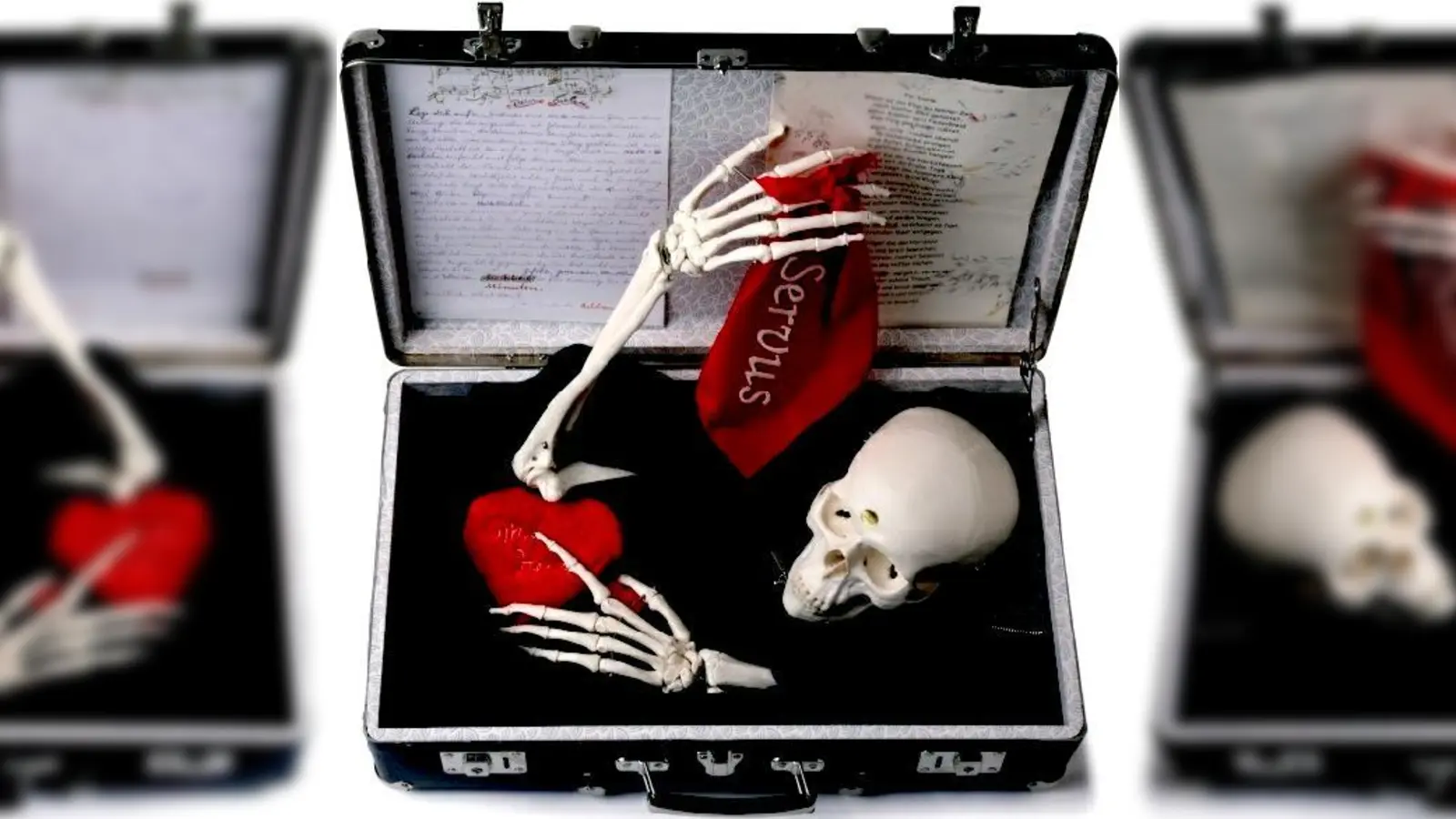 Den abgebildeten Koffer packte die Hebamme und Pflegedirektorin Dorothea Heidorn und schrieb dazu:  „... als Mensch sollst du bedenken, dass du sterben wirst, auf dass du klug wirst.”  (Foto: puetz-roth.de)