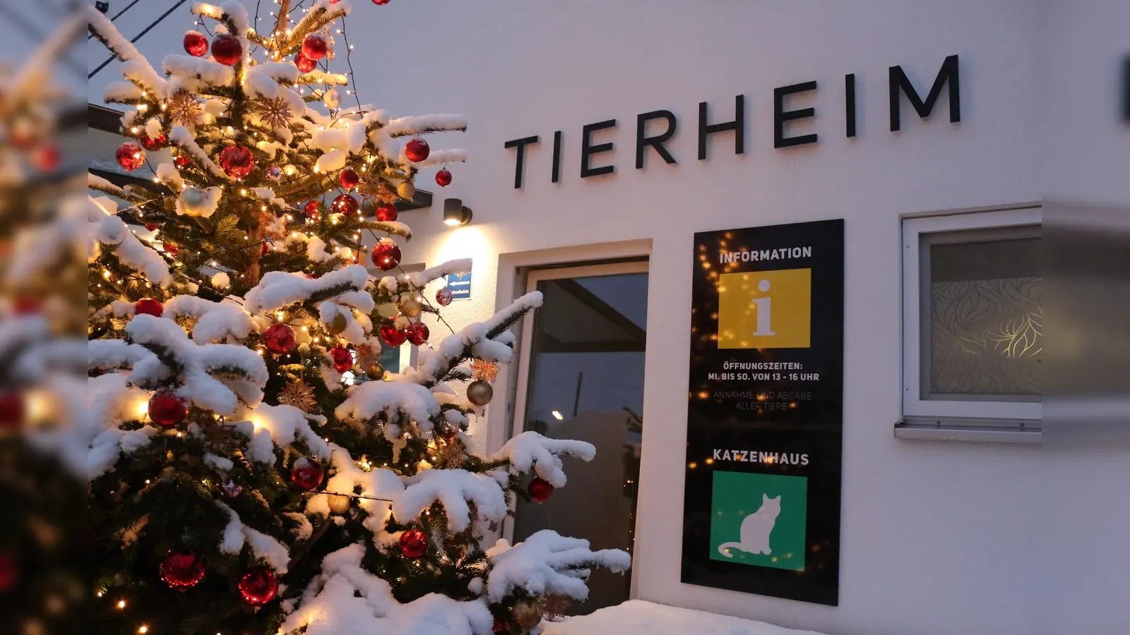Am Samstag, 9. Dezember, lädt der Tierschutzverein München zum weihnachtlichen Beisammensein auf dem Tierheimgelände ein. (Foto: Tierschutzverein München)