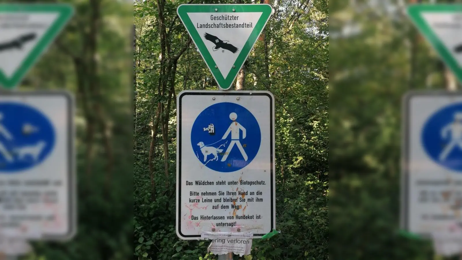 Der bereits unter Schutz stehende Siemens-Sportpark wird um weitere Schutzflächen ergänzt. (Foto: job)