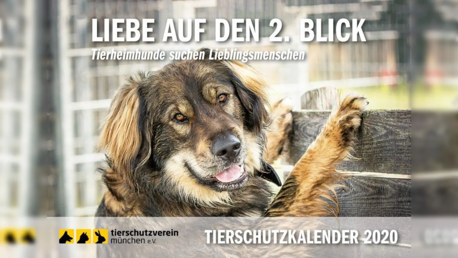 Das Titelbild des Tierschutzkalenders 2020. (Foto: Hansi Trompka/Jafein Foto)