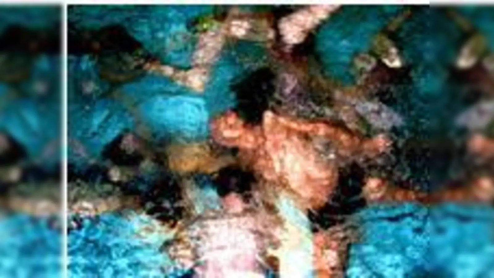 »Deja Vu  der Garten der Erinnerung«.  (Foto: Theresa Hilte)