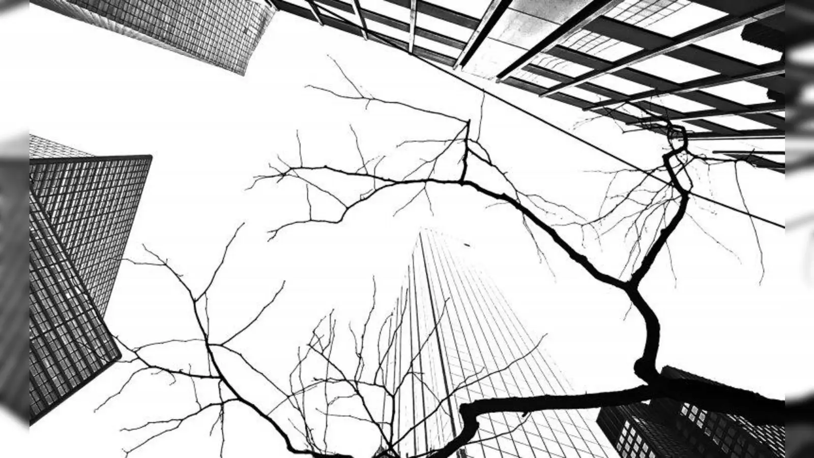 Marlen Peix, NYC - Dem Himmel so nah. (Foto: Marlen Peix)