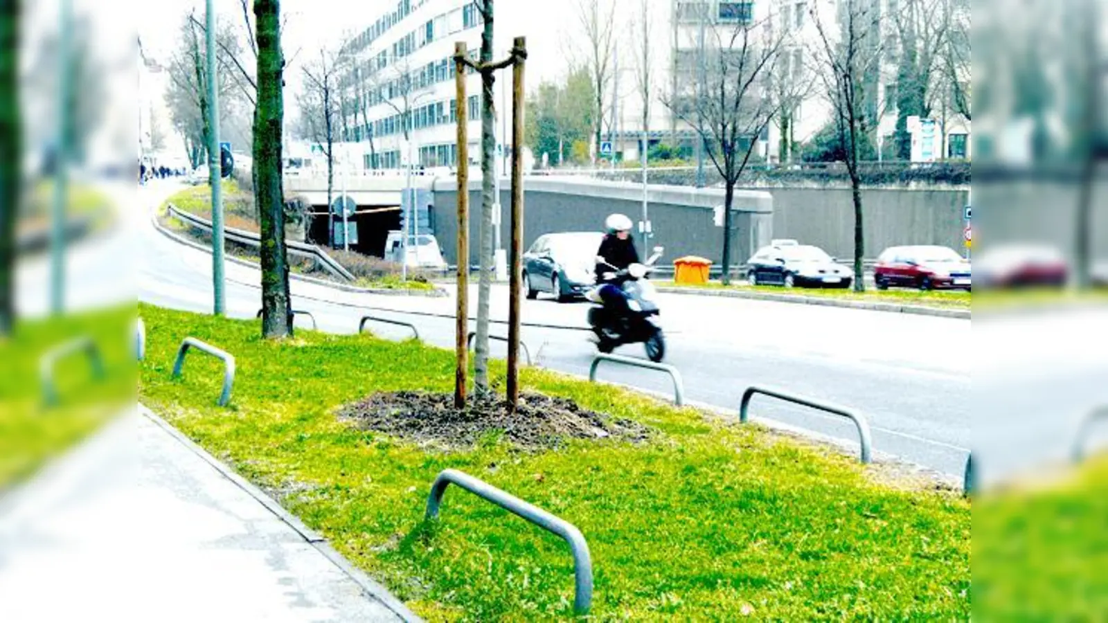 Durch das Zusammentreffen der Fahrzeuge aus dem Trappentreutunnel und der Fahrzeuge, die von der Schwanthalerhöhe kommen, ergibt sich oft ein langer Rückstau.	 (Foto: SE)